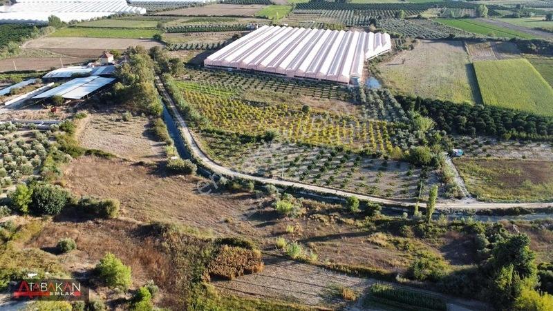 Çolaklıda 5.758 M² Müstakil Tapulu Tarla — fotoğraf 6