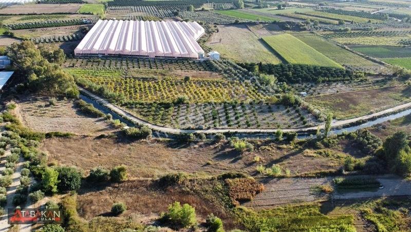 Çolaklıda 5.758 M² Müstakil Tapulu Tarla — fotoğraf 7