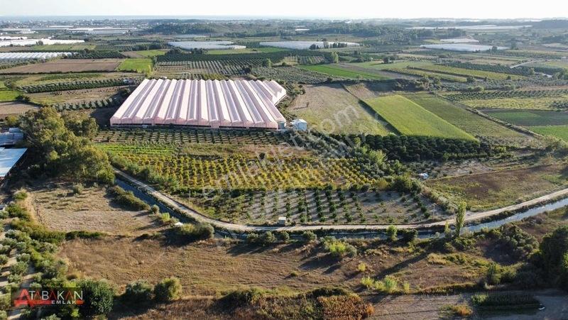 Çolaklıda 5.758 M² Müstakil Tapulu Tarla — fotoğraf 8