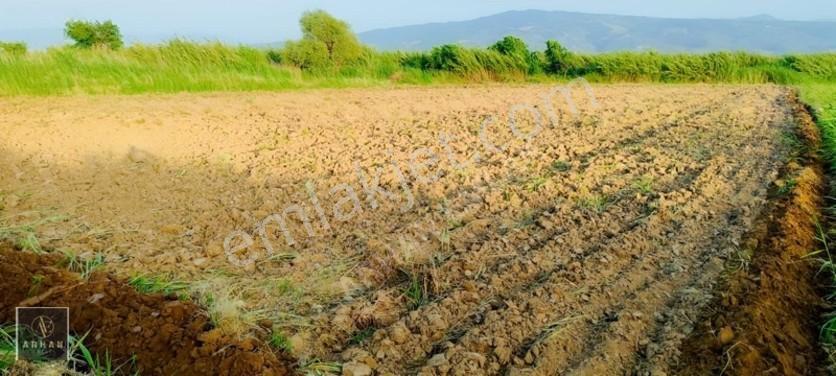 Sultanhisar Atça'Da Satılık 2.947 M² Müstakil Tapulu Tarla