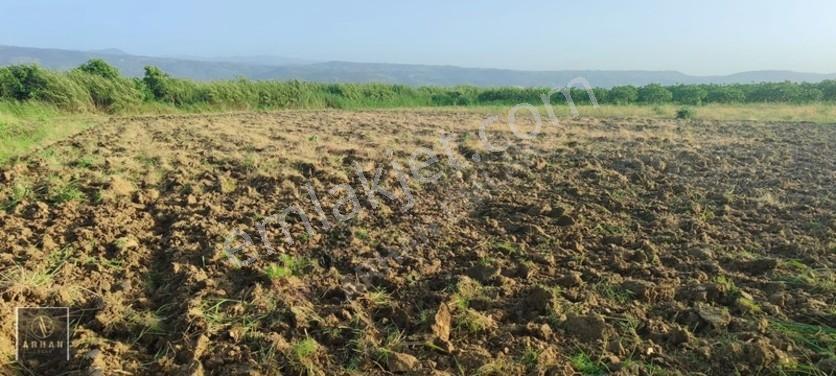 Sultanhisar Atça'da Satılık 2.947 M² Müstakil Tapulu Tarla — fotoğraf 2