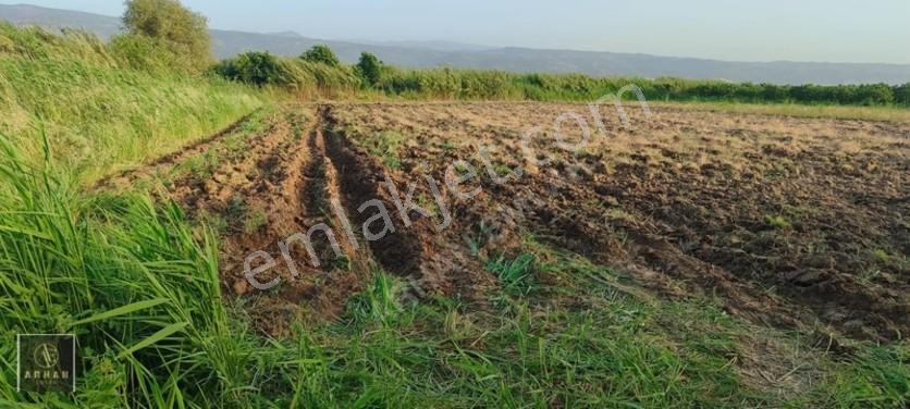 Sultanhisar Atça'da Satılık 2.947 M² Müstakil Tapulu Tarla — fotoğraf 4