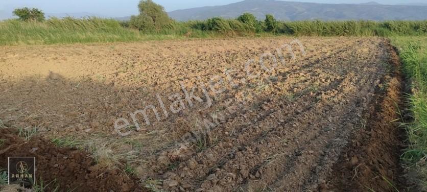 Sultanhisar Atça'da Satılık 2.947 M² Müstakil Tapulu Tarla — fotoğraf 5
