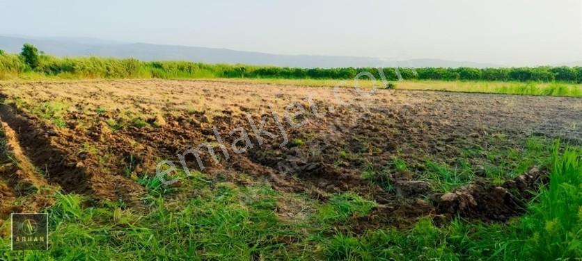 Sultanhisar Atça'da Satılık 2.947 M² Müstakil Tapulu Tarla — fotoğraf 6
