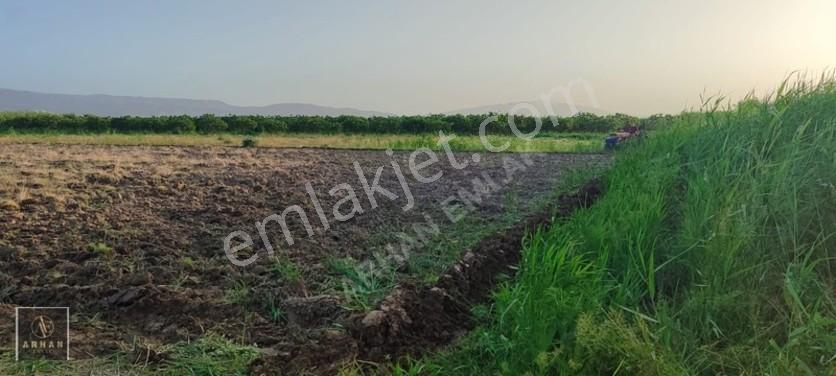 Sultanhisar Atça'da Satılık 2.947 M² Müstakil Tapulu Tarla — fotoğraf 7