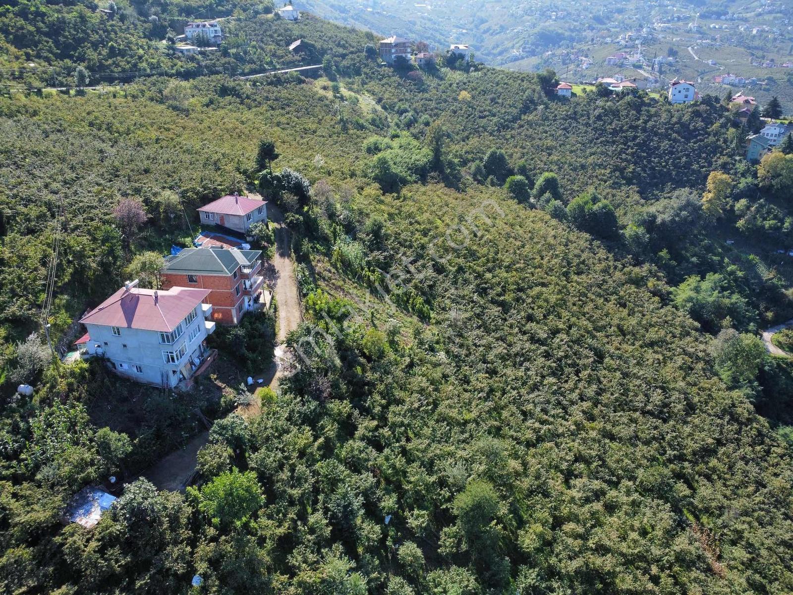 Trabzon Yeşilova Ev İmarlı Arazi Takasa Açık