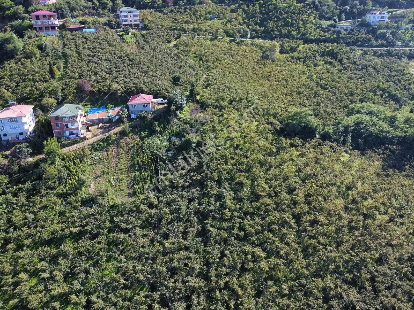 Trabzon Yeşilova Ev İmarlı Arazi Takasa Açık — fotoğraf 2