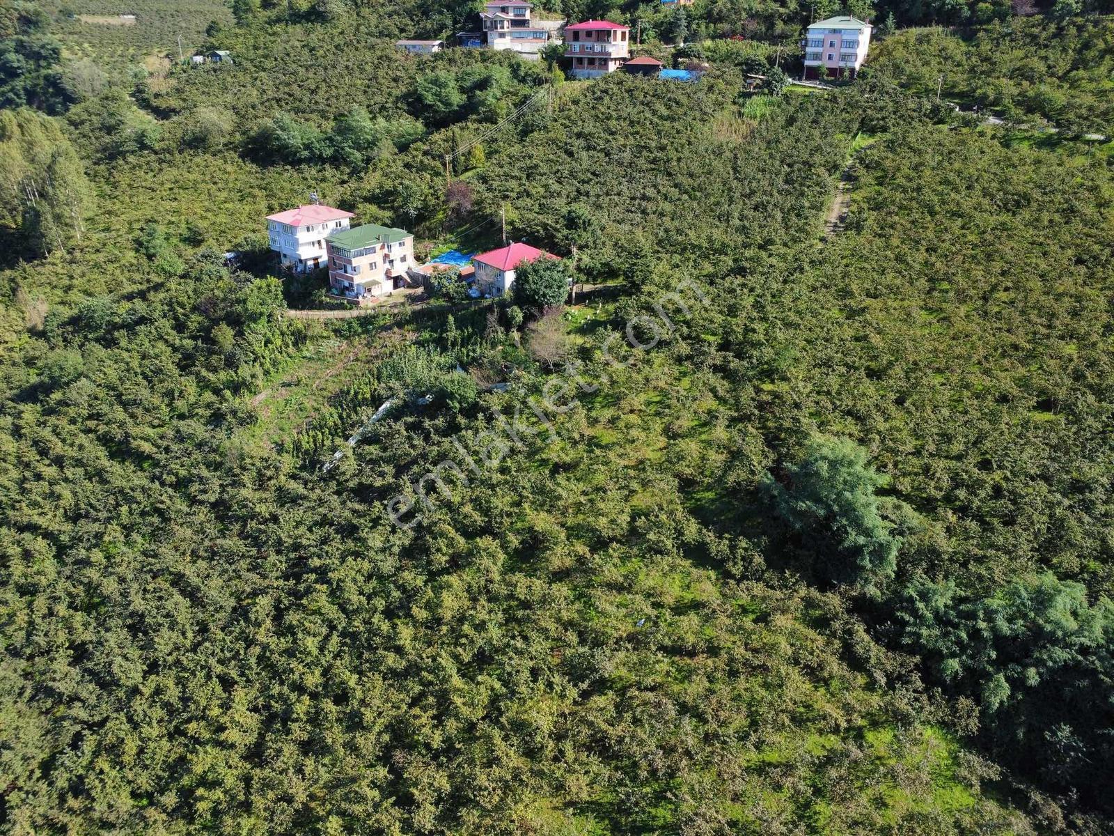 Trabzon Yeşilova Ev İmarlı Arazi Takasa Açık — fotoğraf 3