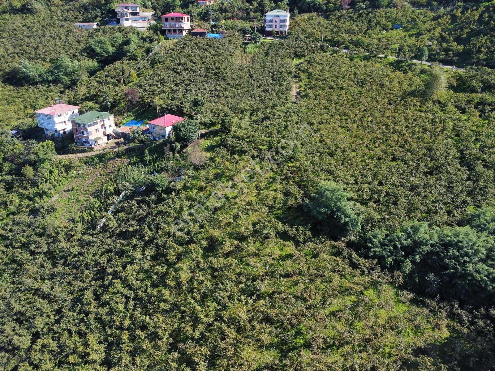 Trabzon Yeşilova Ev İmarlı Arazi Takasa Açık — fotoğraf 4