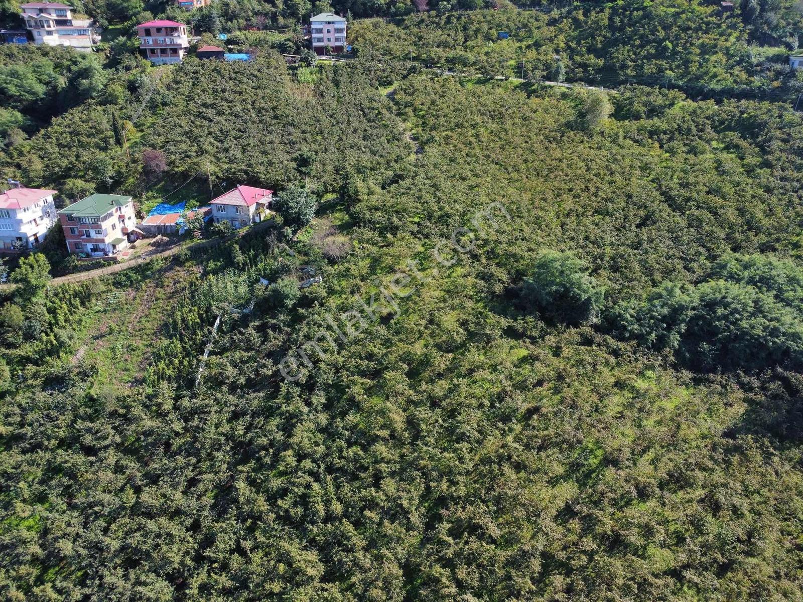 Trabzon Yeşilova Ev İmarlı Arazi Takasa Açık — fotoğraf 5