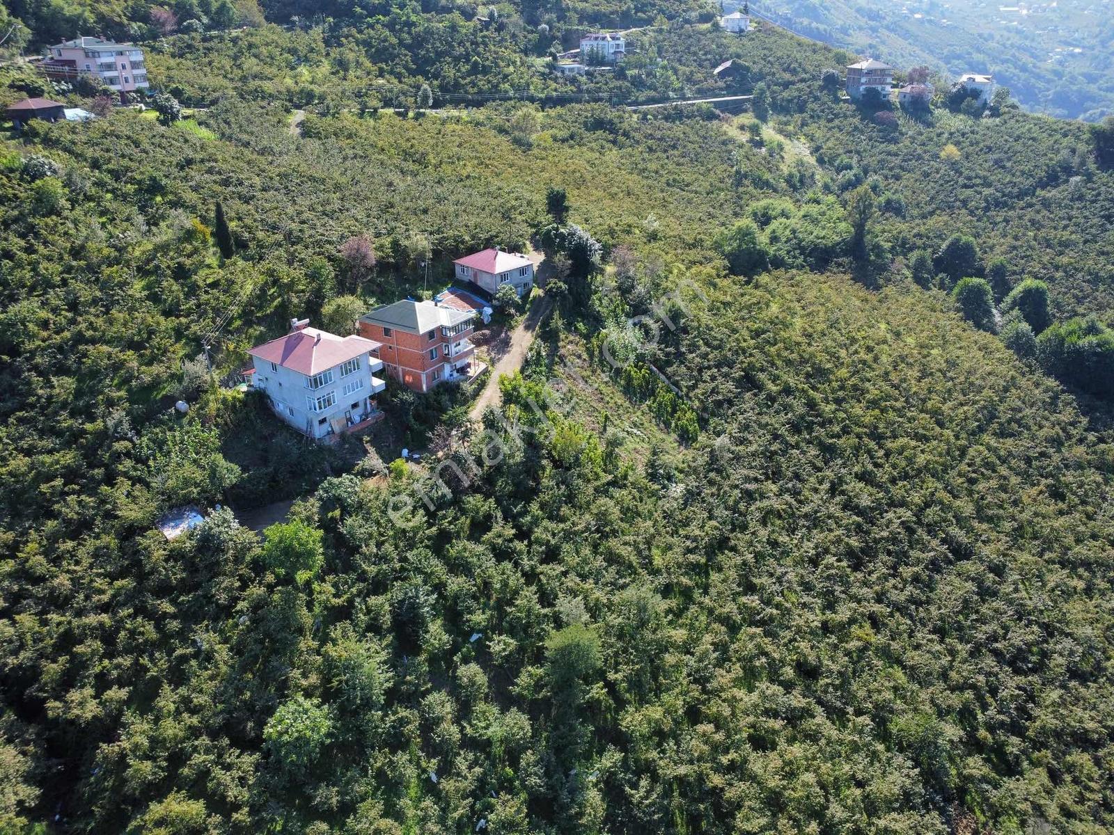 Trabzon Yeşilova Ev İmarlı Arazi Takasa Açık — fotoğraf 6