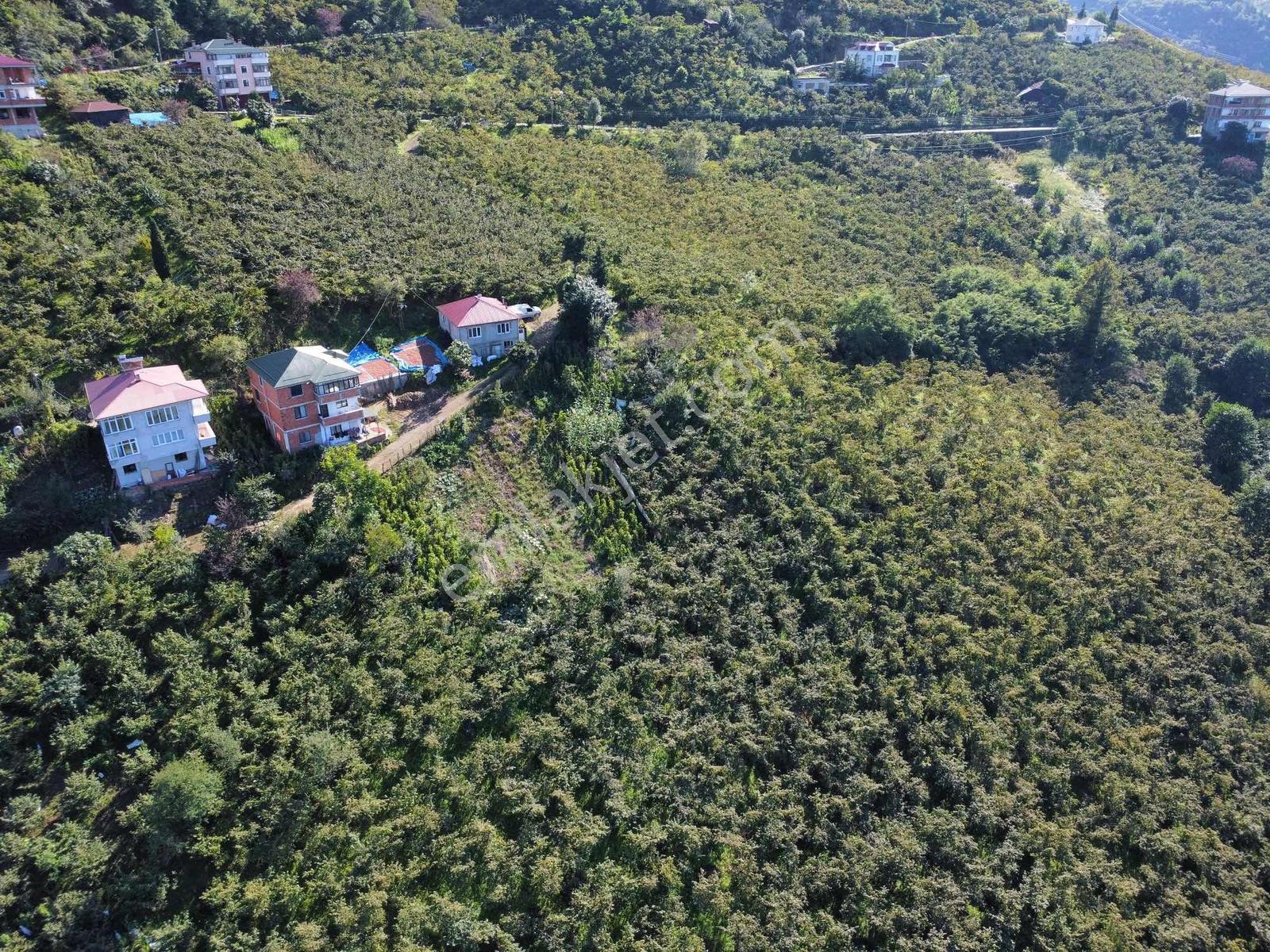 Trabzon Yeşilova Ev İmarlı Arazi Takasa Açık — fotoğraf 7