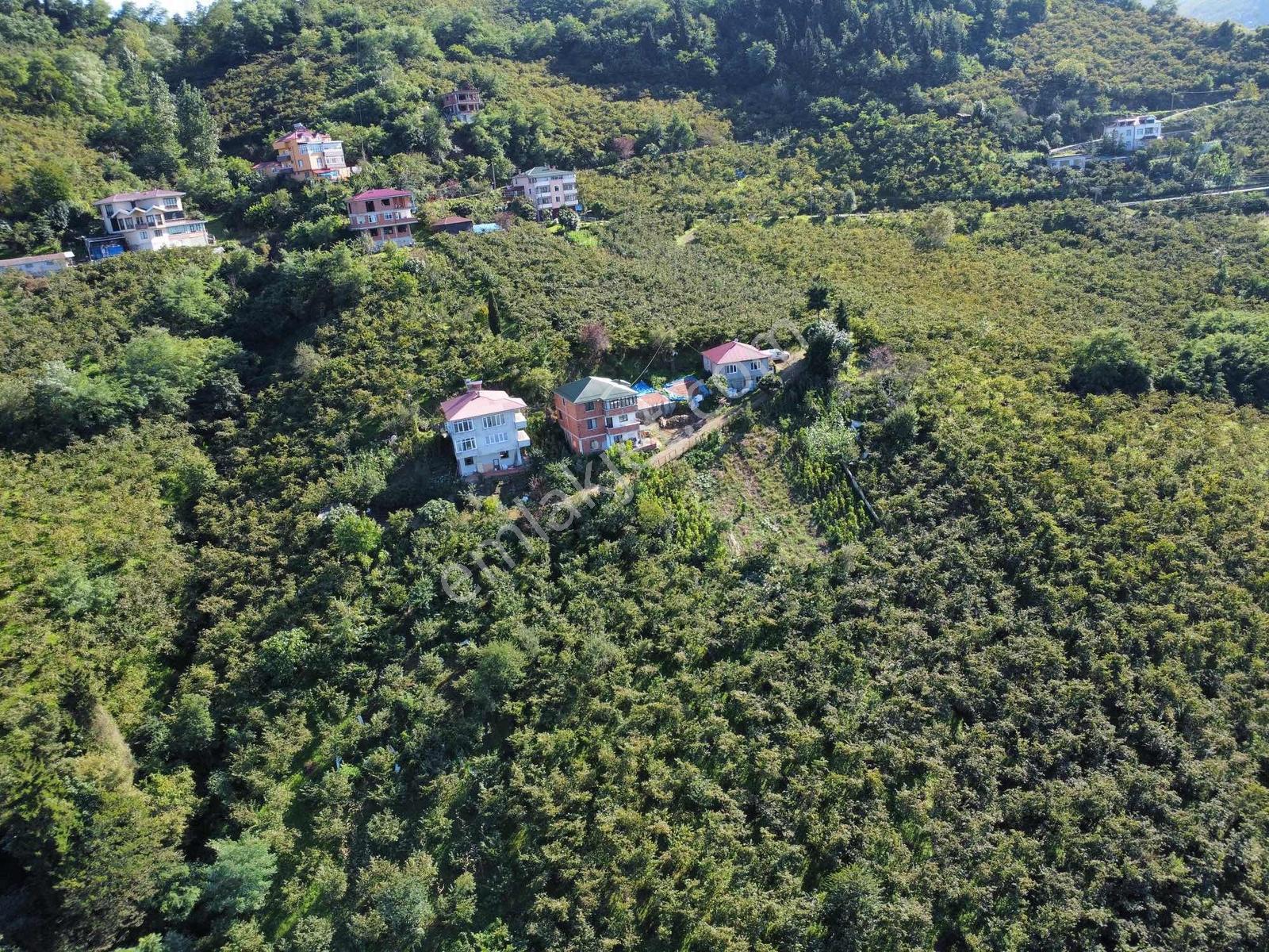 Trabzon Yeşilova Ev İmarlı Arazi Takasa Açık — fotoğraf 8