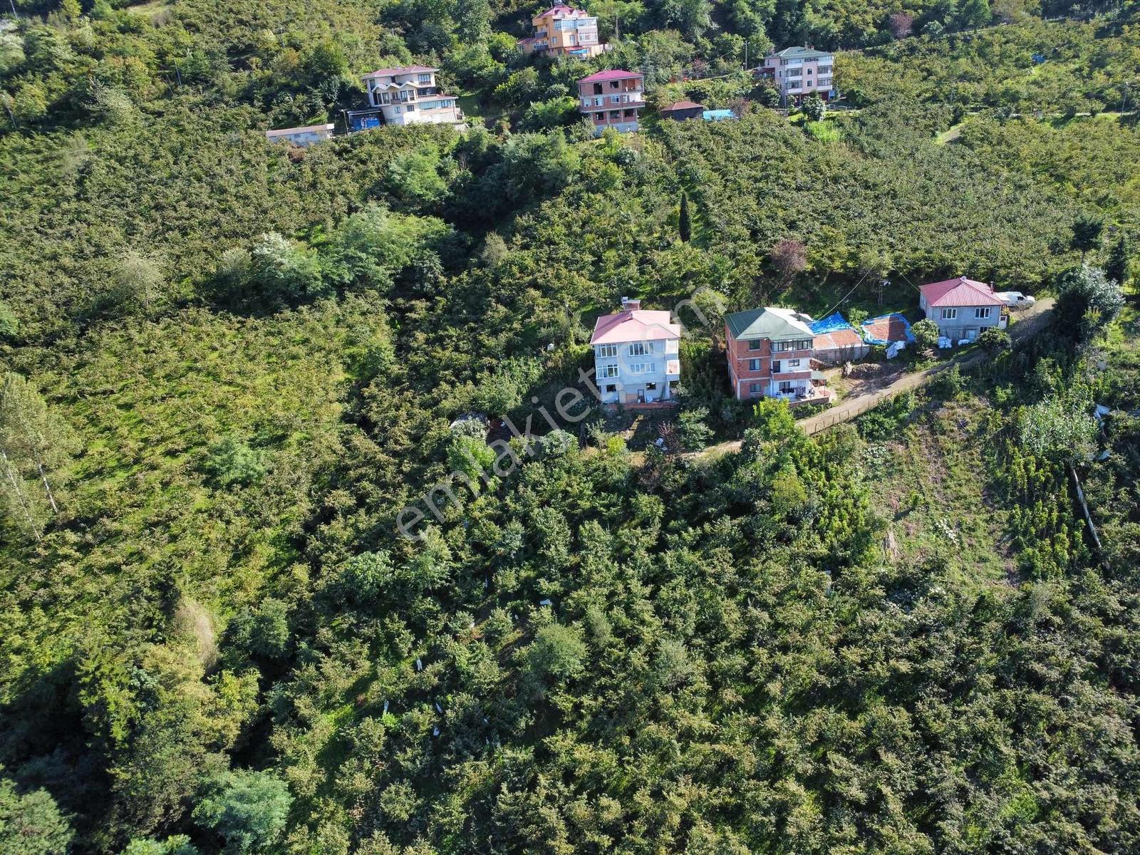 Trabzon Yeşilova Ev İmarlı Arazi Takasa Açık — fotoğraf 9