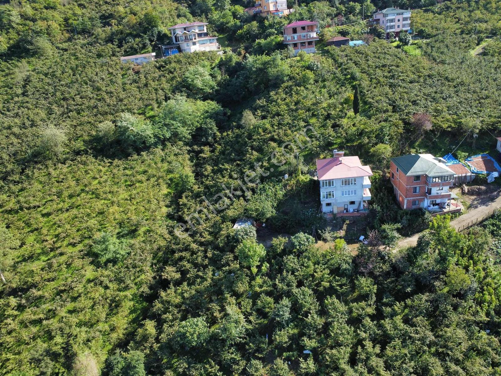 Trabzon Yeşilova Ev İmarlı Arazi Takasa Açık — fotoğraf 10