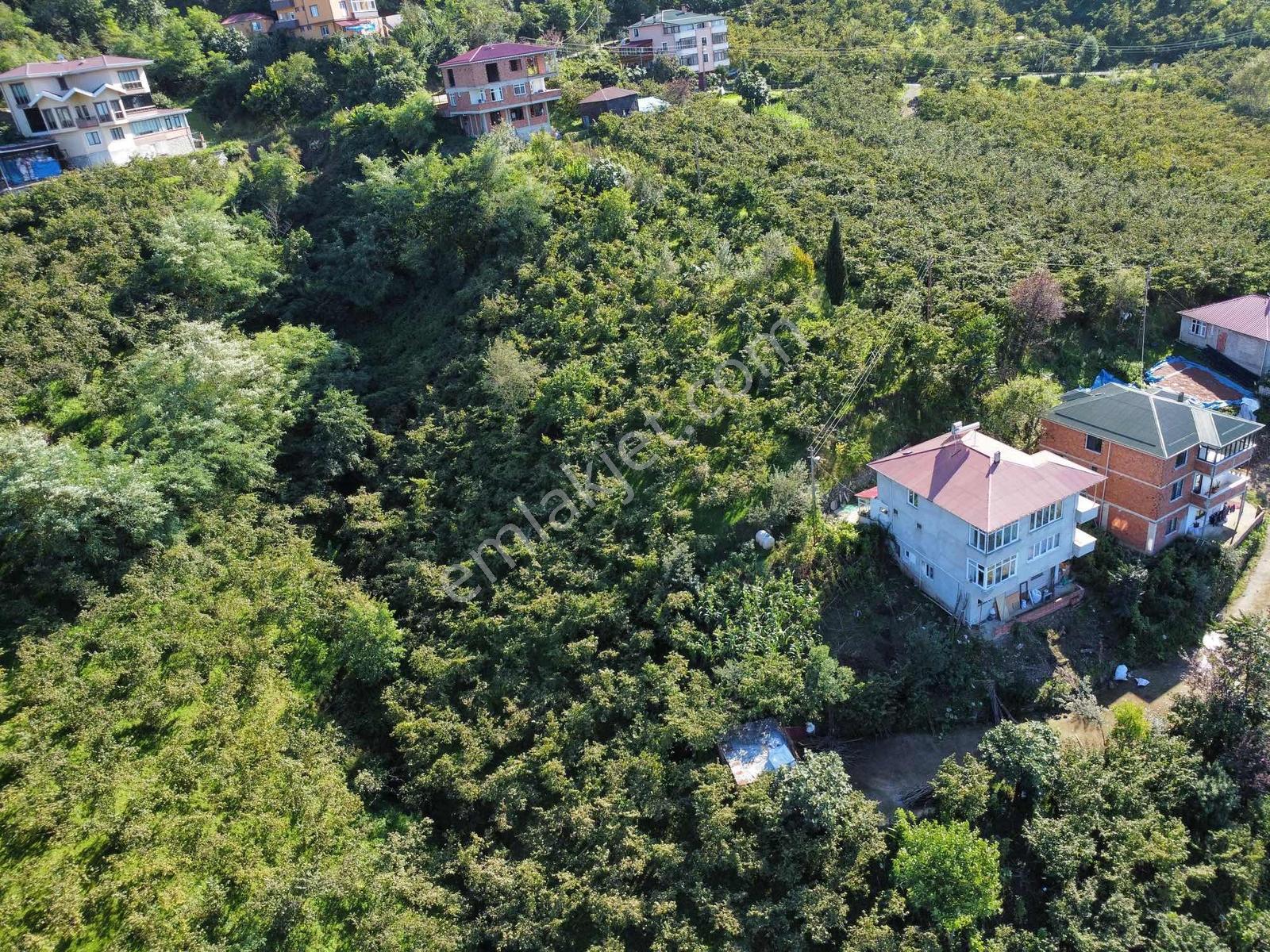 Trabzon Yeşilova Ev İmarlı Arazi Takasa Açık — fotoğraf 11