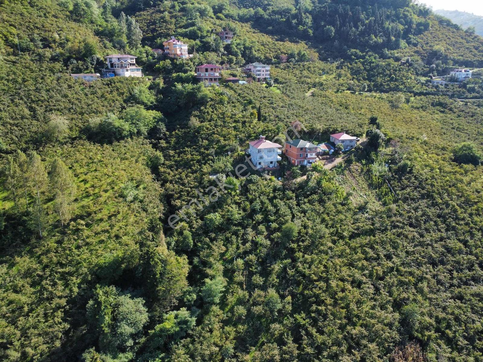 Trabzon Yeşilova Ev İmarlı Arazi Takasa Açık — fotoğraf 12