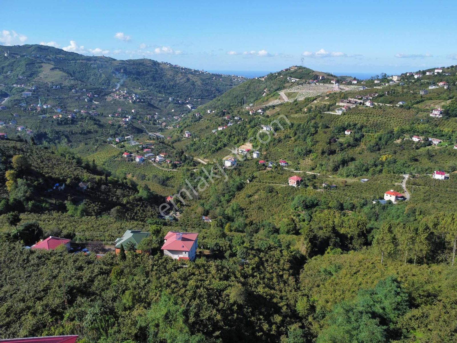 Trabzon Yeşilova Ev İmarlı Arazi Takasa Açık — fotoğraf 13