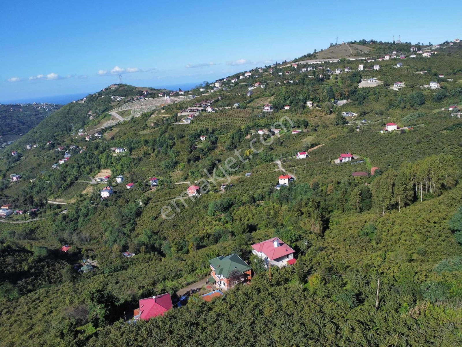 Trabzon Yeşilova Ev İmarlı Arazi Takasa Açık — fotoğraf 14