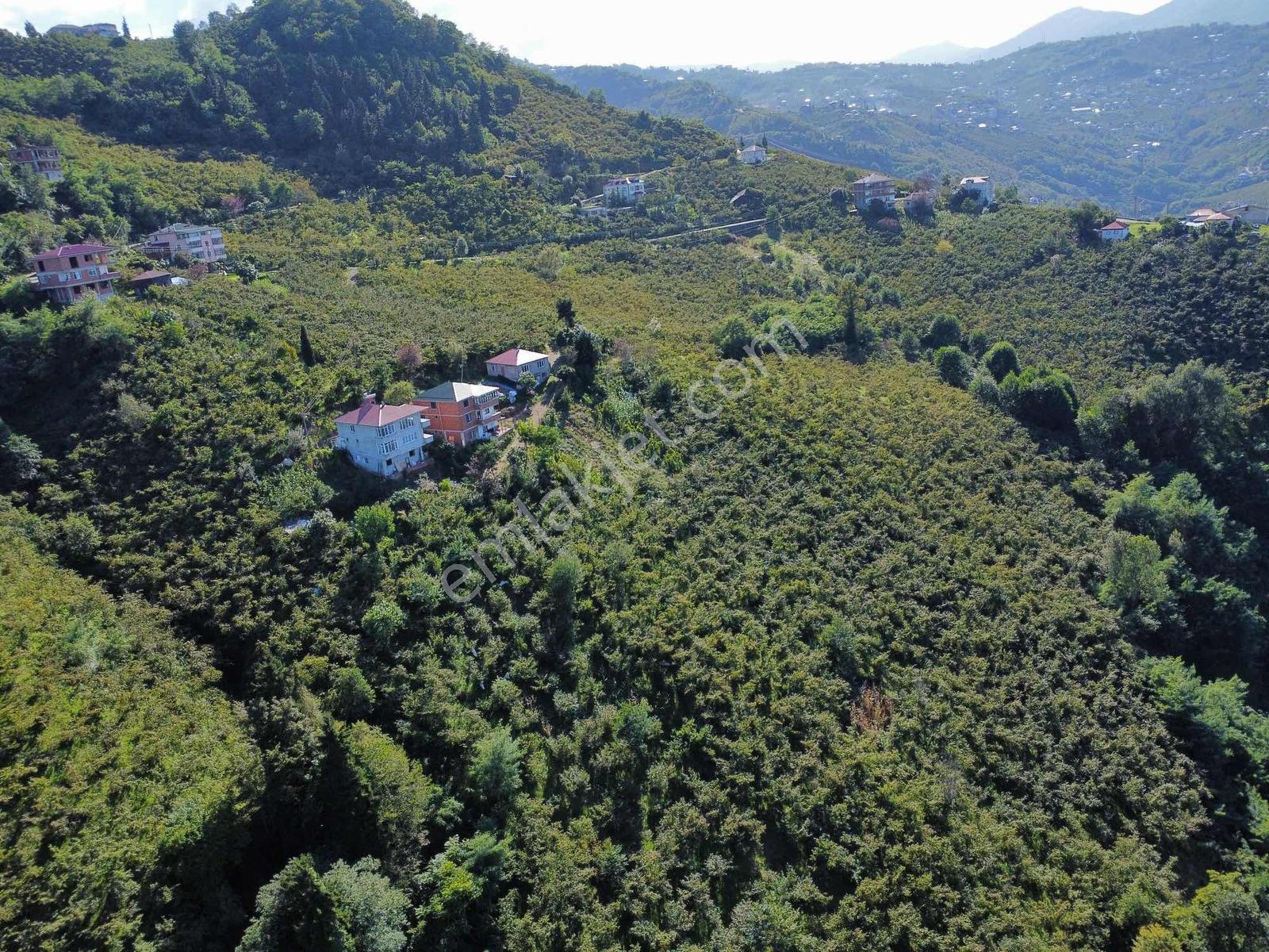 Trabzon Yeşilova Ev İmarlı Arazi Takasa Açık — fotoğraf 15