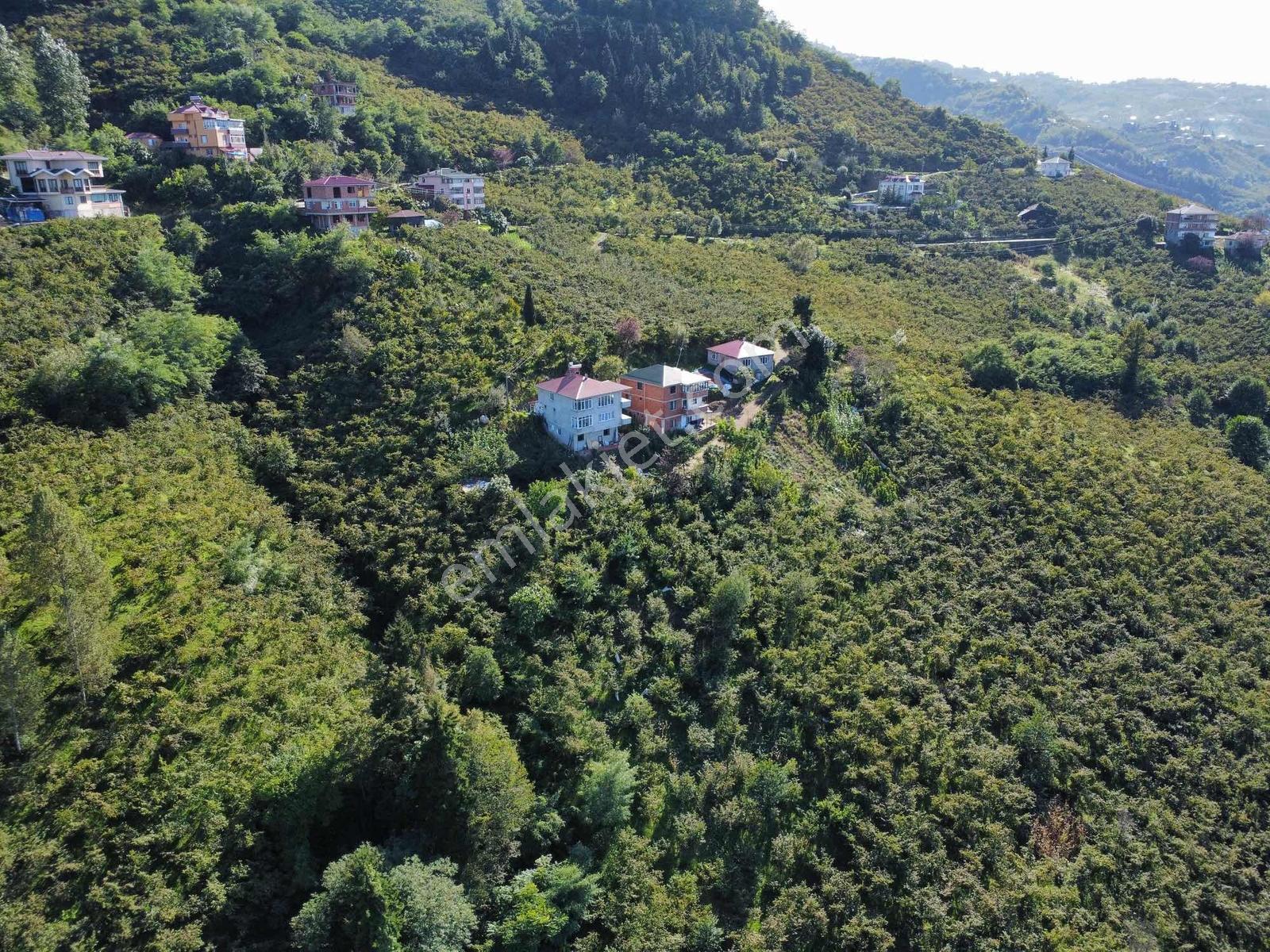 Trabzon Yeşilova Ev İmarlı Arazi Takasa Açık — fotoğraf 16