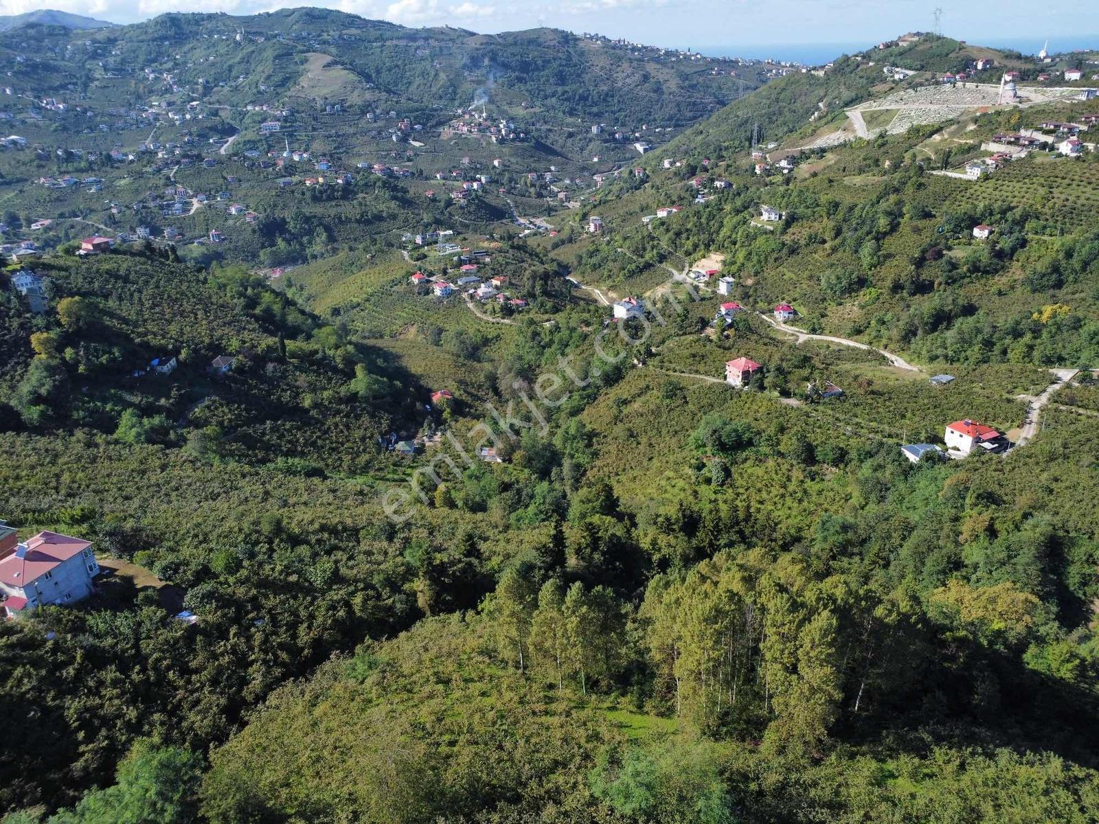 Trabzon Yeşilova Ev İmarlı Arazi Takasa Açık — fotoğraf 17