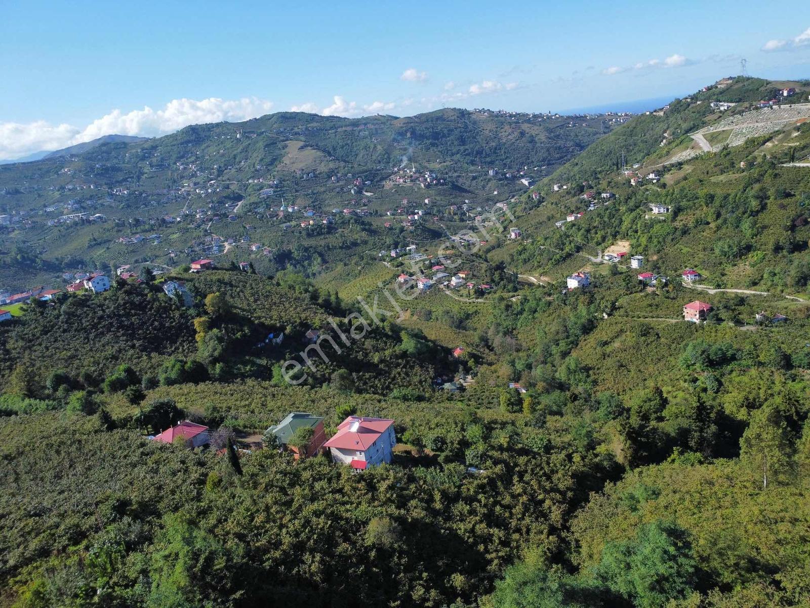 Trabzon Yeşilova Ev İmarlı Arazi Takasa Açık — fotoğraf 19