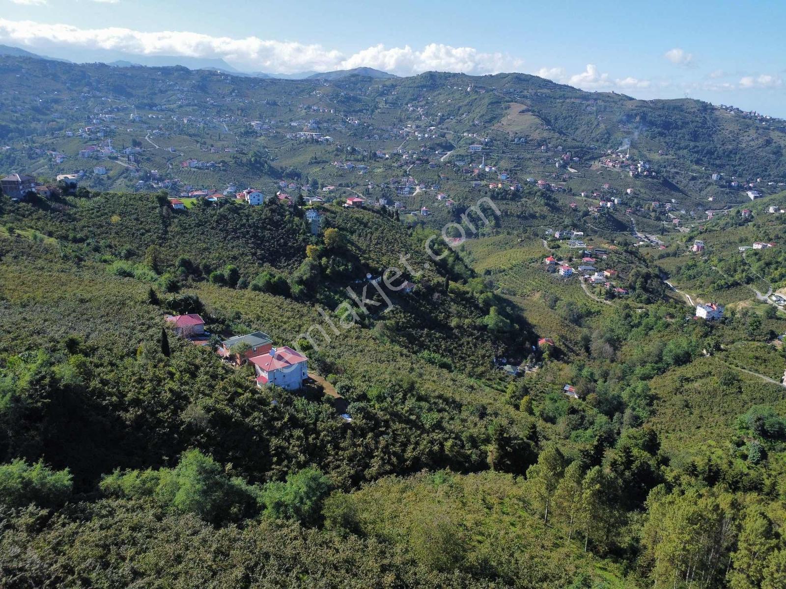 Trabzon Yeşilova Ev İmarlı Arazi Takasa Açık — fotoğraf 20