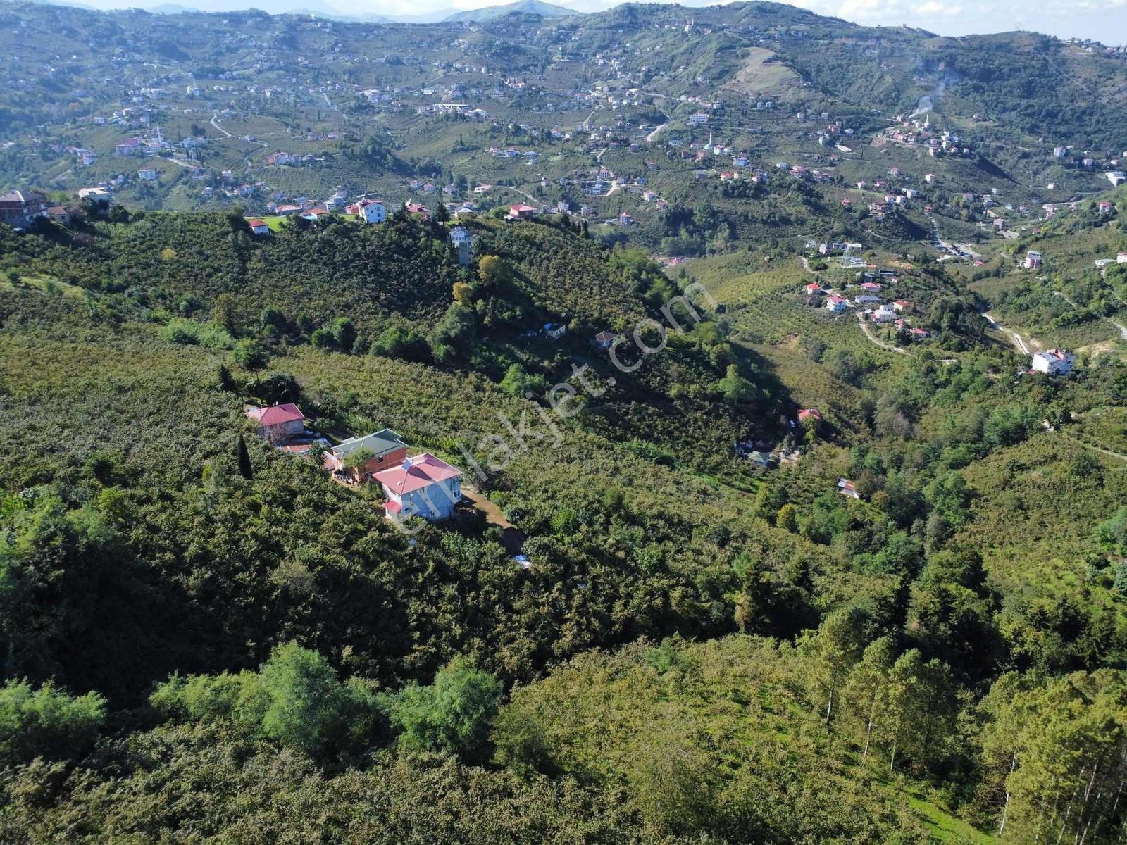 Trabzon Yeşilova Ev İmarlı Arazi Takasa Açık — fotoğraf 21