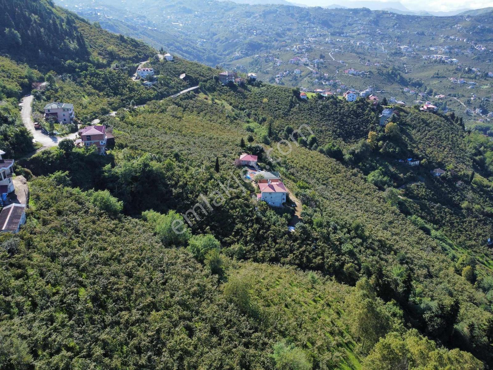 Trabzon Yeşilova Ev İmarlı Arazi Takasa Açık — fotoğraf 22