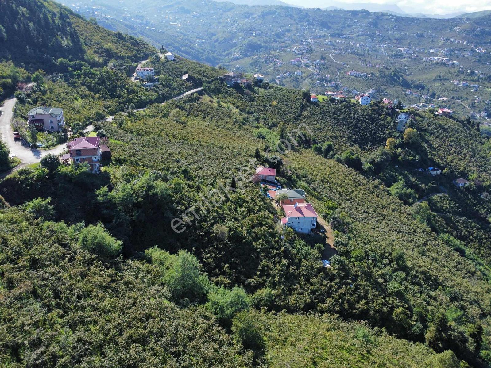 Trabzon Yeşilova Ev İmarlı Arazi Takasa Açık — fotoğraf 23