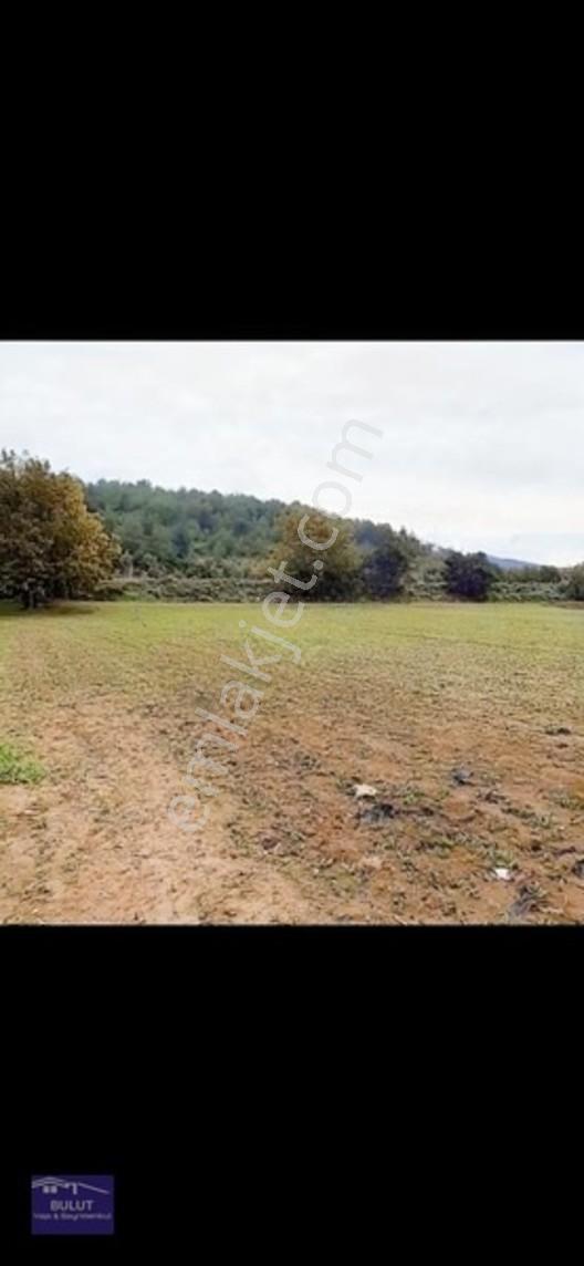 Sakarya Geyve Bayat Mahallesinde 994m2 Asfalta Cepheli Tarla — fotoğraf 2