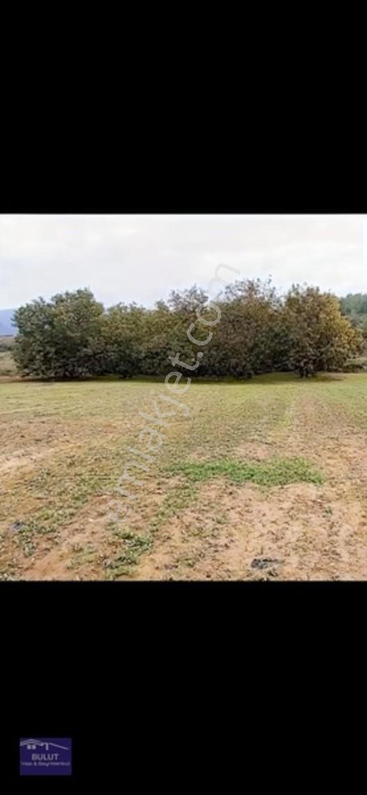 Sakarya Geyve Bayat Mahallesinde 994m2 Asfalta Cepheli Tarla — fotoğraf 3