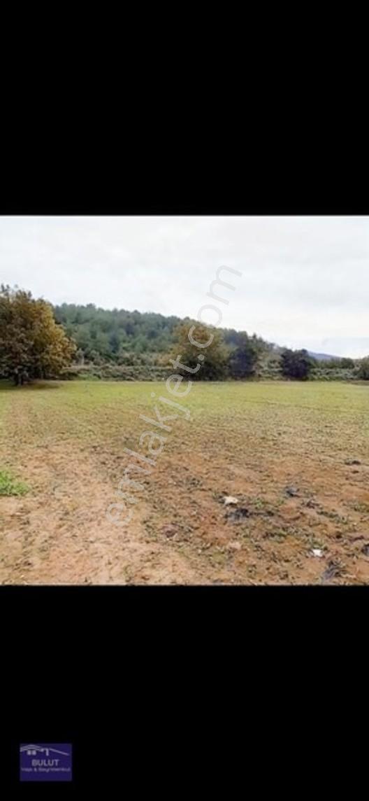 Sakarya Geyve Bayat Mahallesinde 994m2 Asfalta Cepheli Tarla — fotoğraf 4