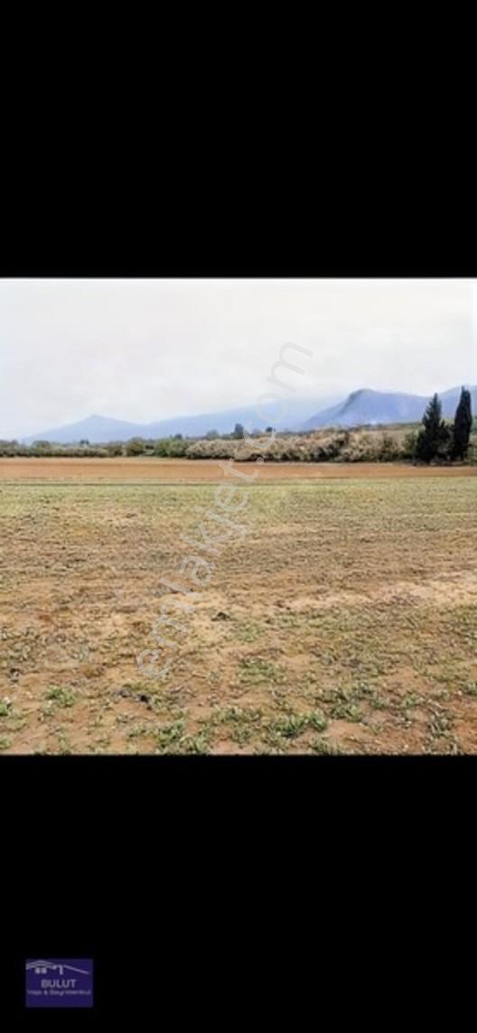 Sakarya Geyve Bayat Mahallesinde 994m2 Asfalta Cepheli Tarla — fotoğraf 5