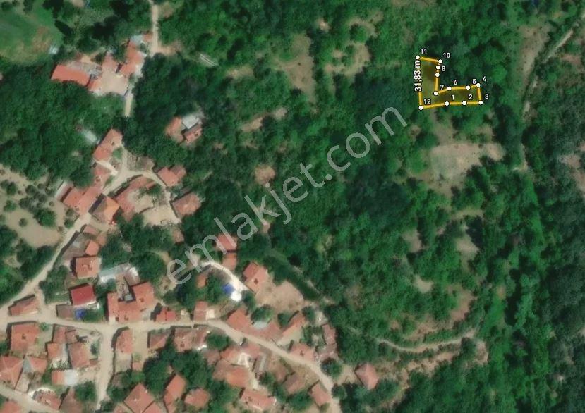 Söğüt Dereboyu'nda Köye 128m Söğüt Merkeze 2.4km Mesafede Bahçe — fotoğraf 5