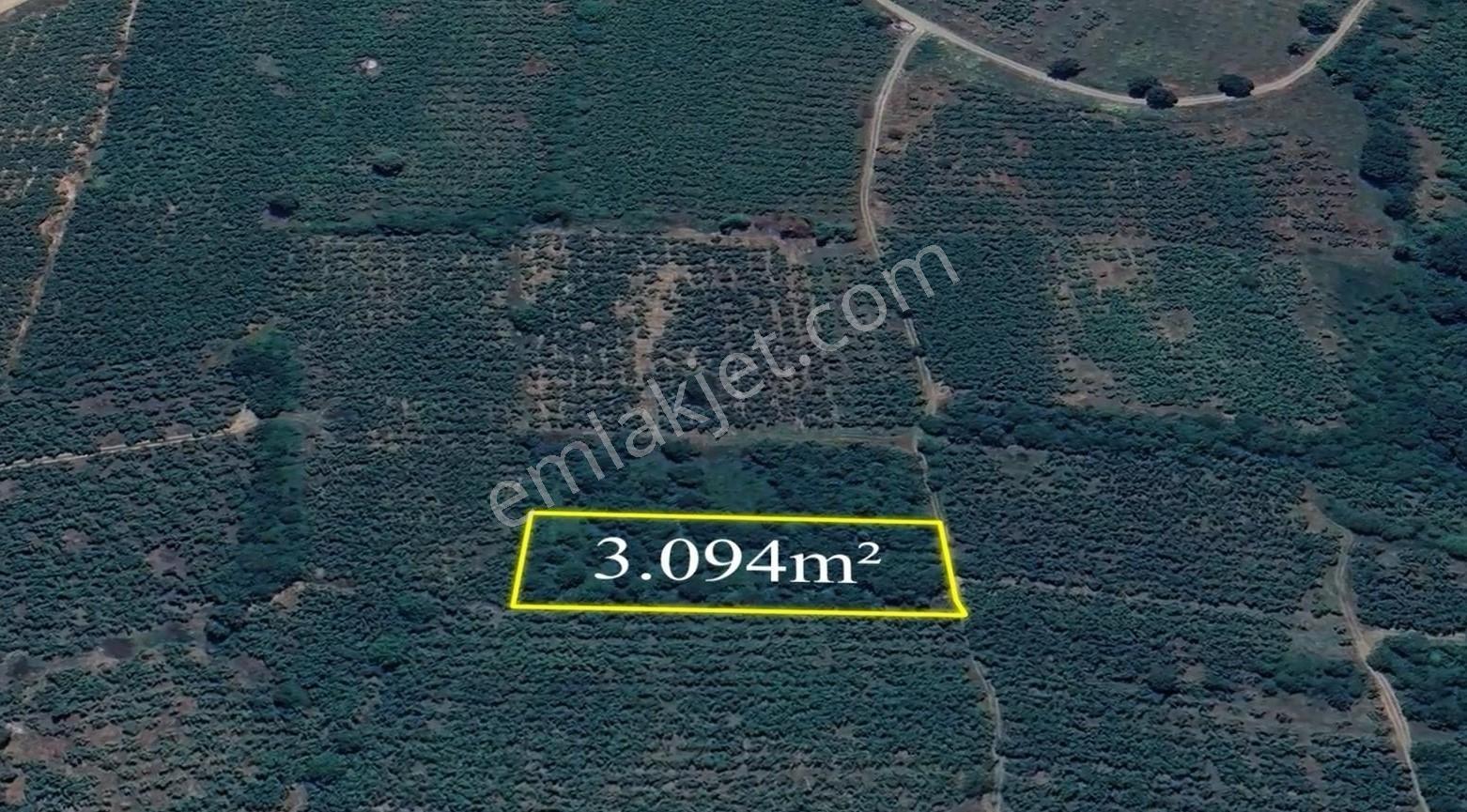 İkramiye De Yatırımlık Tarla 1