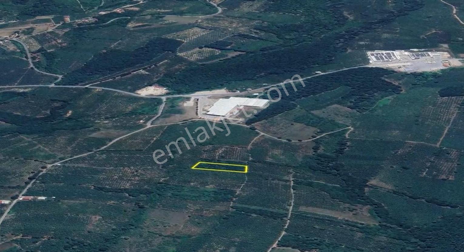 İkramiye De Yatırımlık Tarla 1 — fotoğraf 2