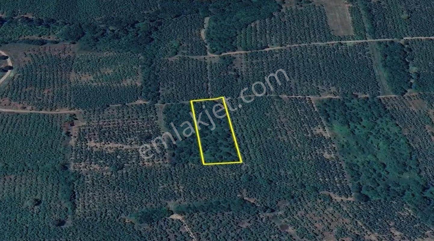 İkramiye De Yatırımlık Tarla 1 — fotoğraf 3