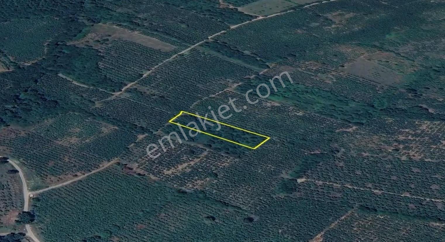 İkramiye De Yatırımlık Tarla 1 — fotoğraf 4