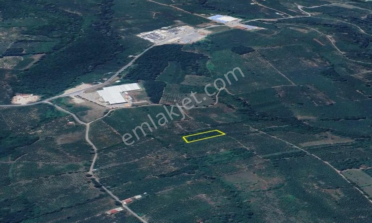 İkramiye De Yatırımlık Tarla 1 — fotoğraf 5