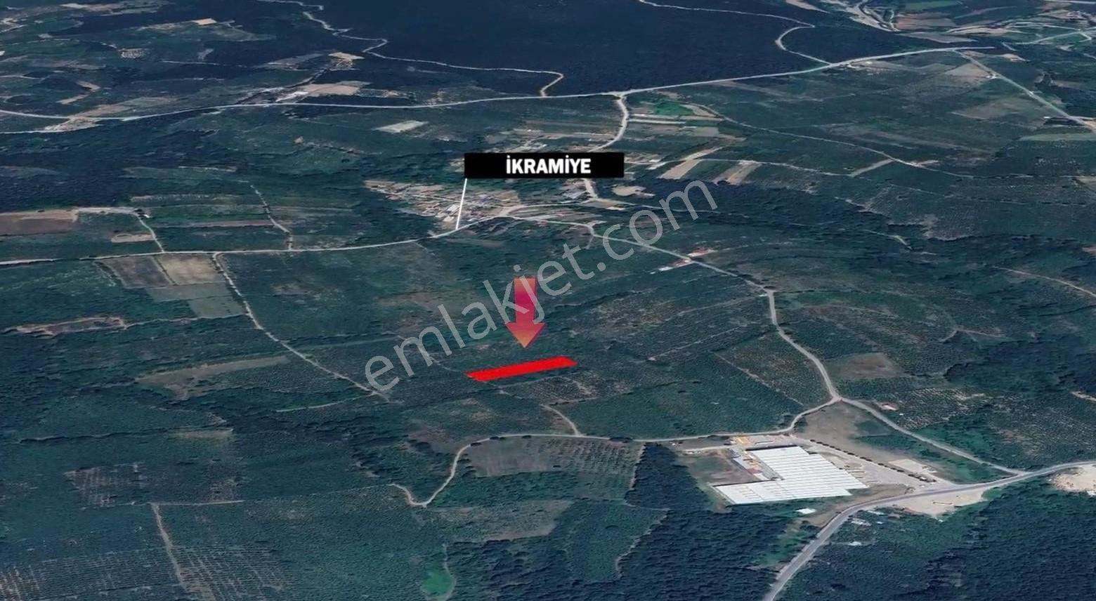 İkramiye De Yatırımlık Tarla 1 — fotoğraf 6