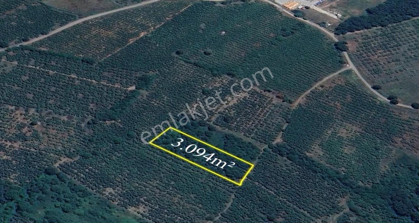İkramiye De Yatırımlık Tarla 1 — fotoğraf 7