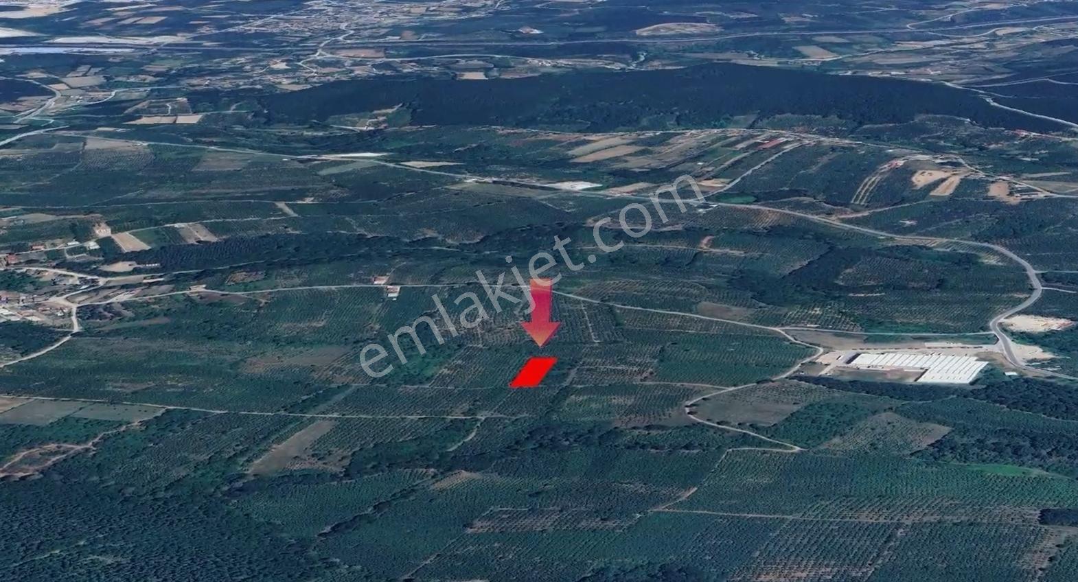 İkramiye De Yatırımlık Tarla 1 — fotoğraf 9