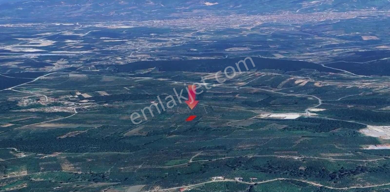 İkramiye De Yatırımlık Tarla 1 — fotoğraf 10