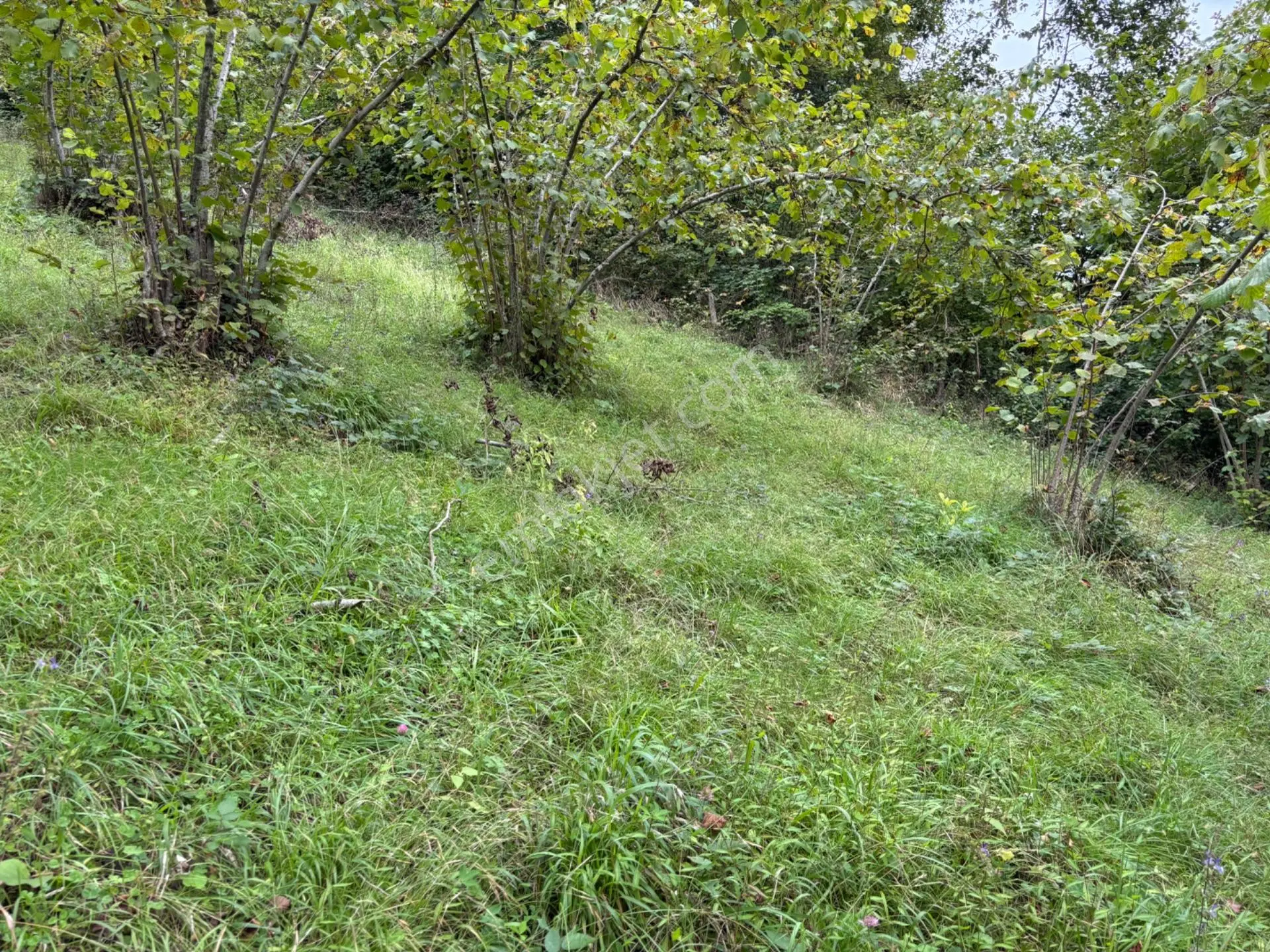 Trabzon Yeşılyurt Mahallesinde Satılık Arsa