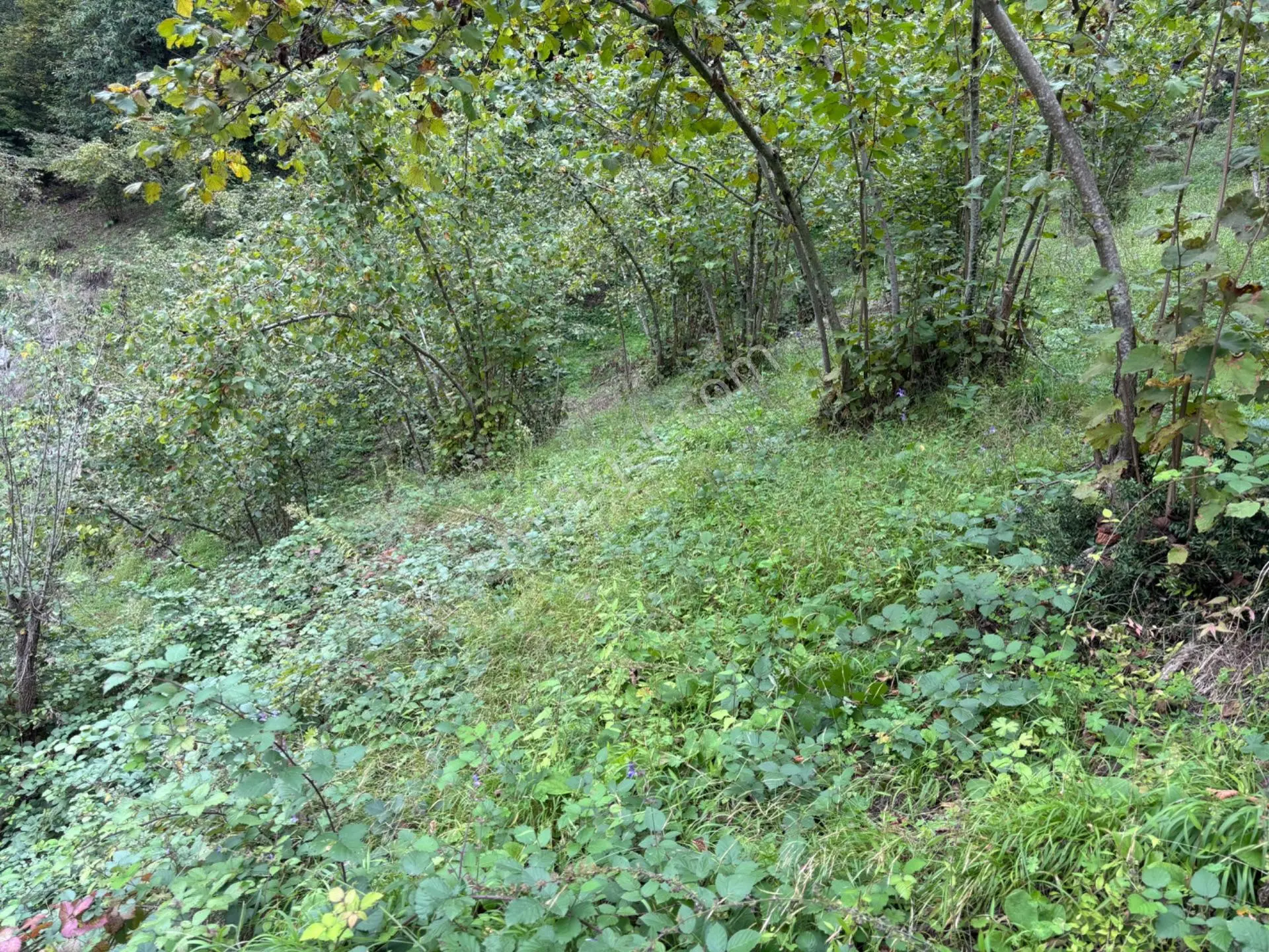 Trabzon Yeşılyurt Mahallesinde Satılık Arsa — fotoğraf 3