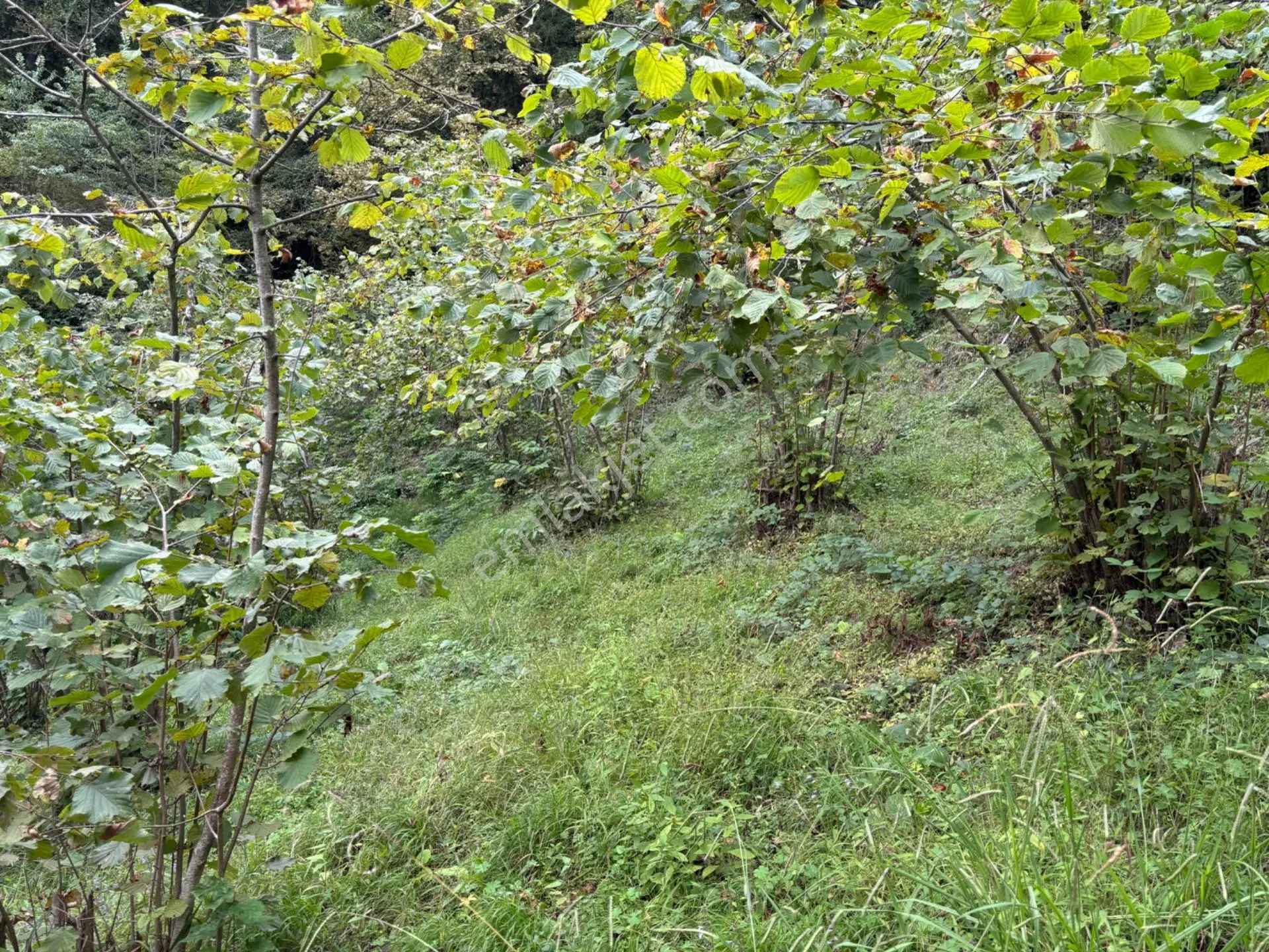 Trabzon Yeşılyurt Mahallesinde Satılık Arsa — fotoğraf 7
