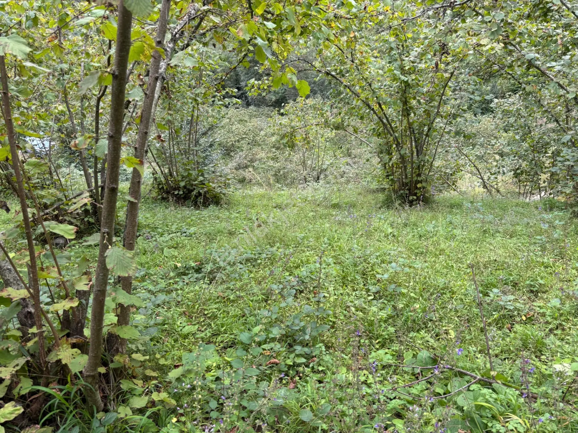 Trabzon Yeşılyurt Mahallesinde Satılık Arsa — fotoğraf 8