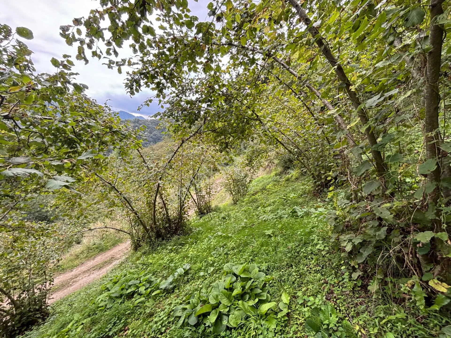 Trabzon Yeşılyurt Mahallesinde Satılık Arsa — fotoğraf 10